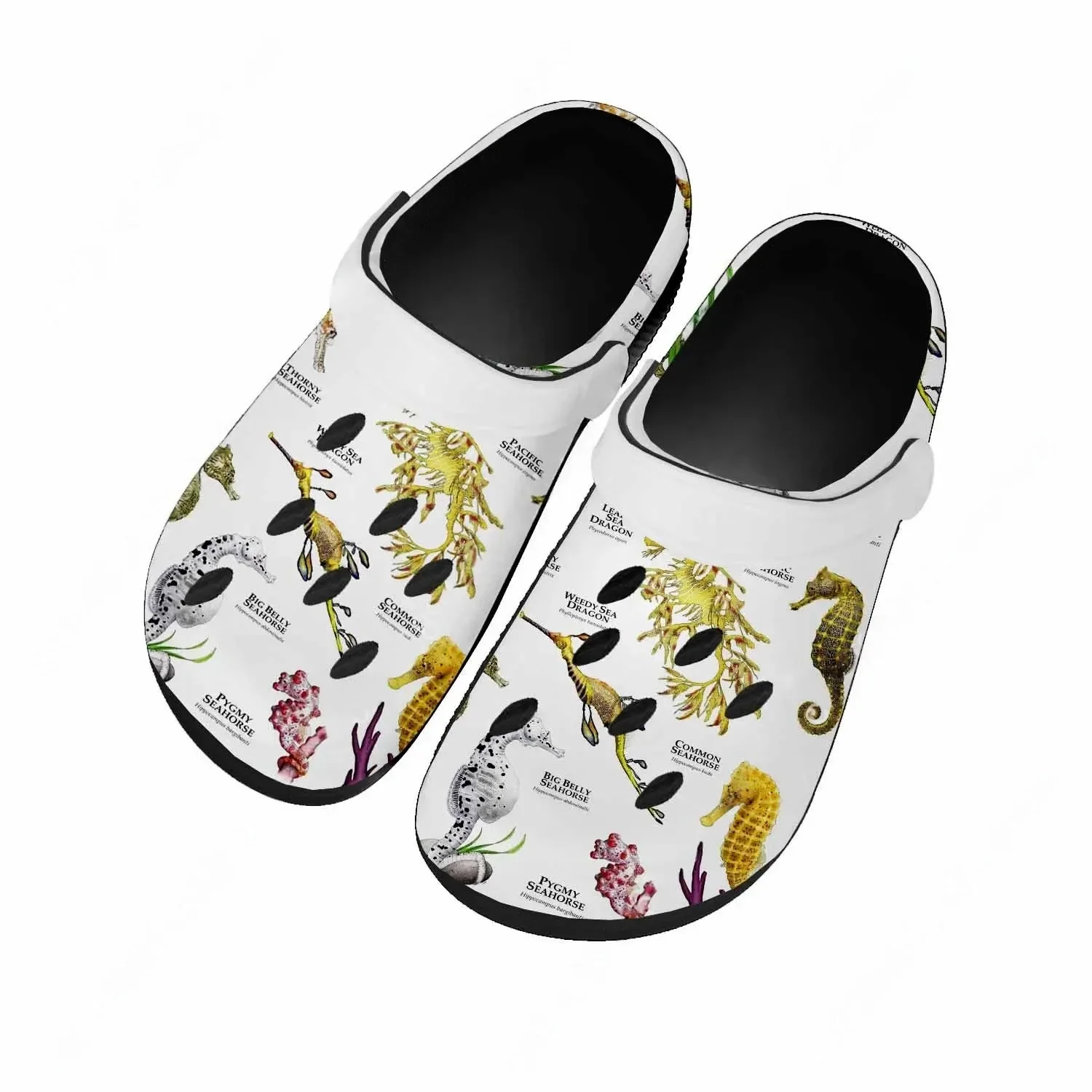 صندل سي هورس للنساء والمراهقات - مراجعة Men'S Shoes Quality وسعره
